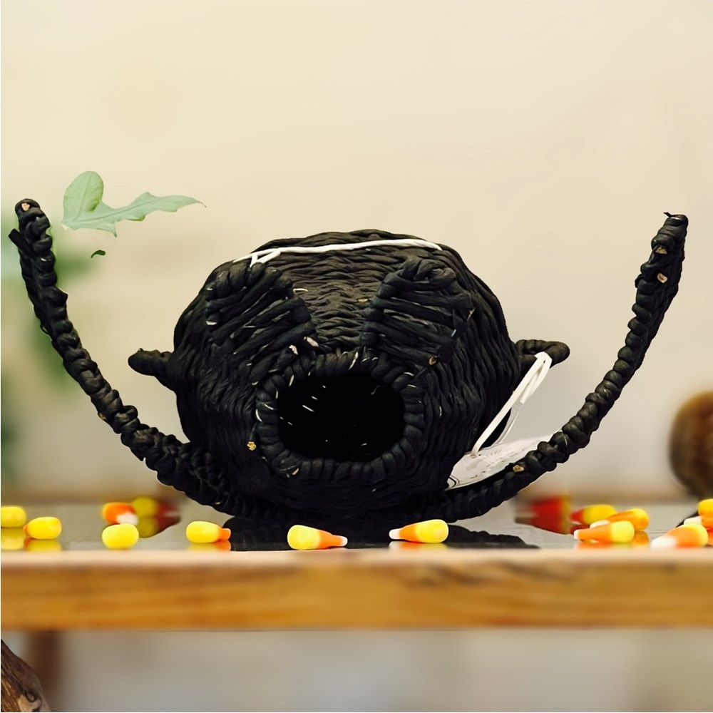NWT Homegoods Black Woven Wicker Rattan Standing Bat Tabletop Halloween Decor - Picture 15 of 16